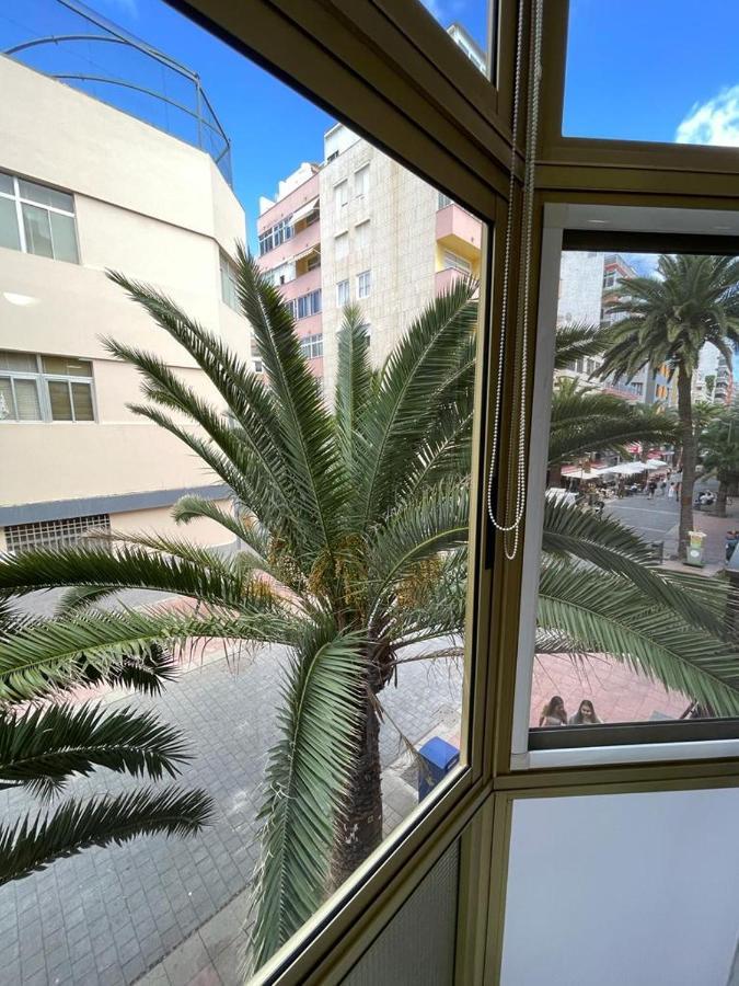 Palmeras 102 Las Palmas de Gran Canaria Dış mekan fotoğraf